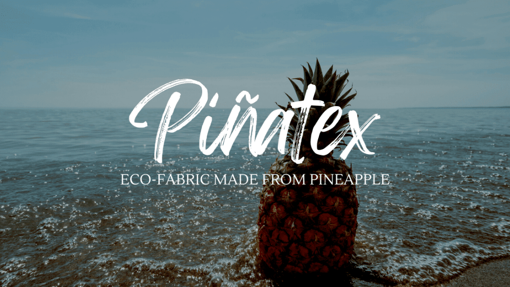 Piñatex Eco Fabric Made From Pineapple