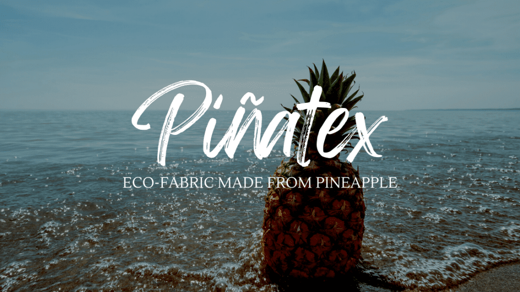 Piñatex Eco Fabric Made From Pineapple